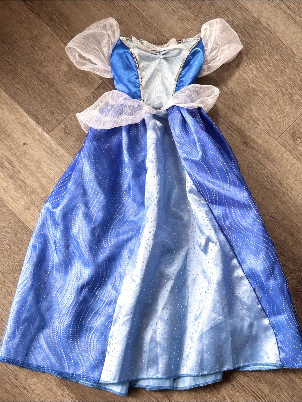 Disney Cinderella Dress Costume Halloween Blue
